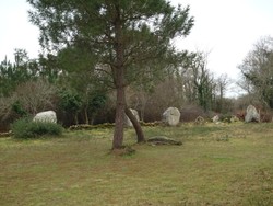 Crucuno_Morbihan