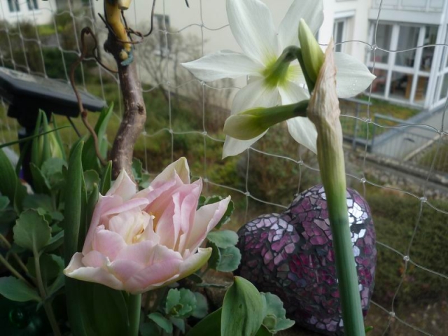 Frühling in Müllheim
