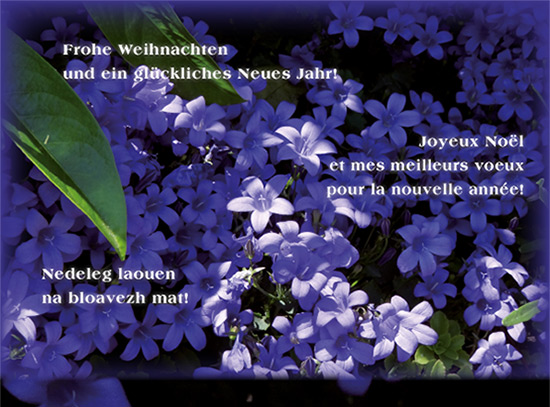 weihnachtsbrief-nov-13 01